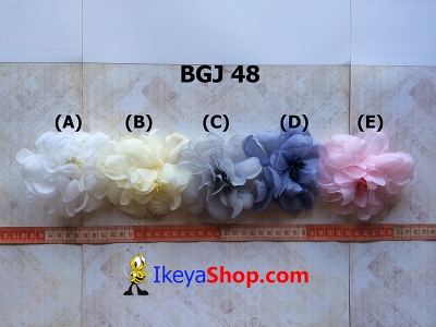 BGJ 48 A E  large2